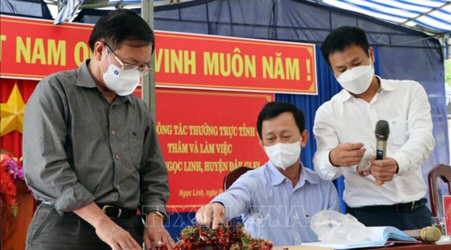 Kon Tum: Nan giải bảo vệ thương hiệu sâm Ngọc Linh